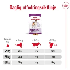 Royal Canin Koiran Kuivaruoka*Giant Adult 2 x 15kg