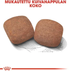 Royal Canin Koiran Kuivaruoka*Giant Adult 2 x 15kg