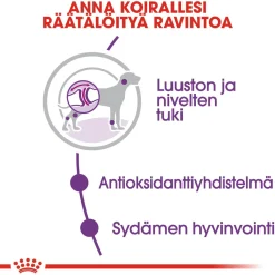 Royal Canin Koiran Kuivaruoka*Giant Adult 2 x 15kg