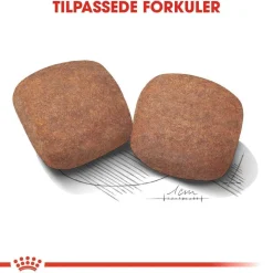 Royal Canin Koiran Kuivaruoka*Giant Adult 2 x 15kg