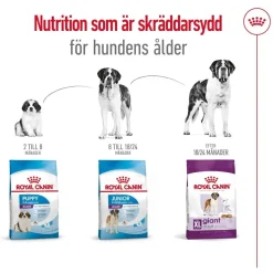 Royal Canin Koiran Kuivaruoka*Giant Adult 2 x 15kg