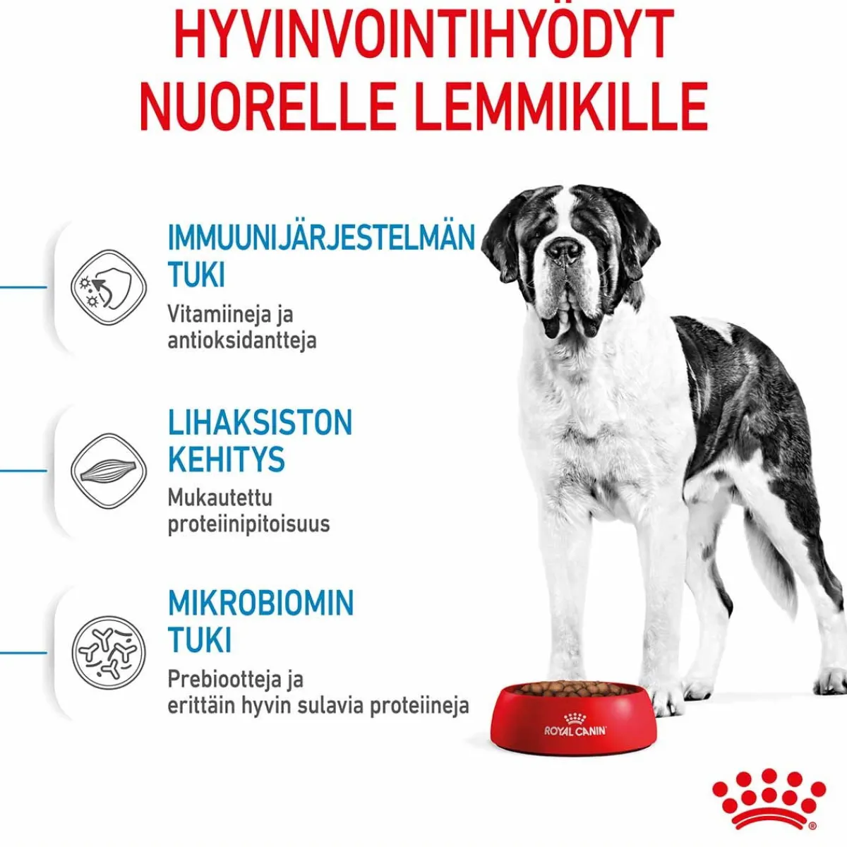Royal Canin Penturuoka|Koiran Kuivaruoka*Giant Junior 15 kg