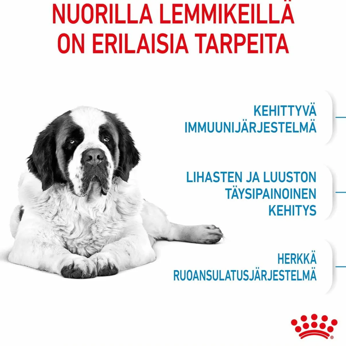 Royal Canin Penturuoka|Koiran Kuivaruoka*Giant Junior 15 kg