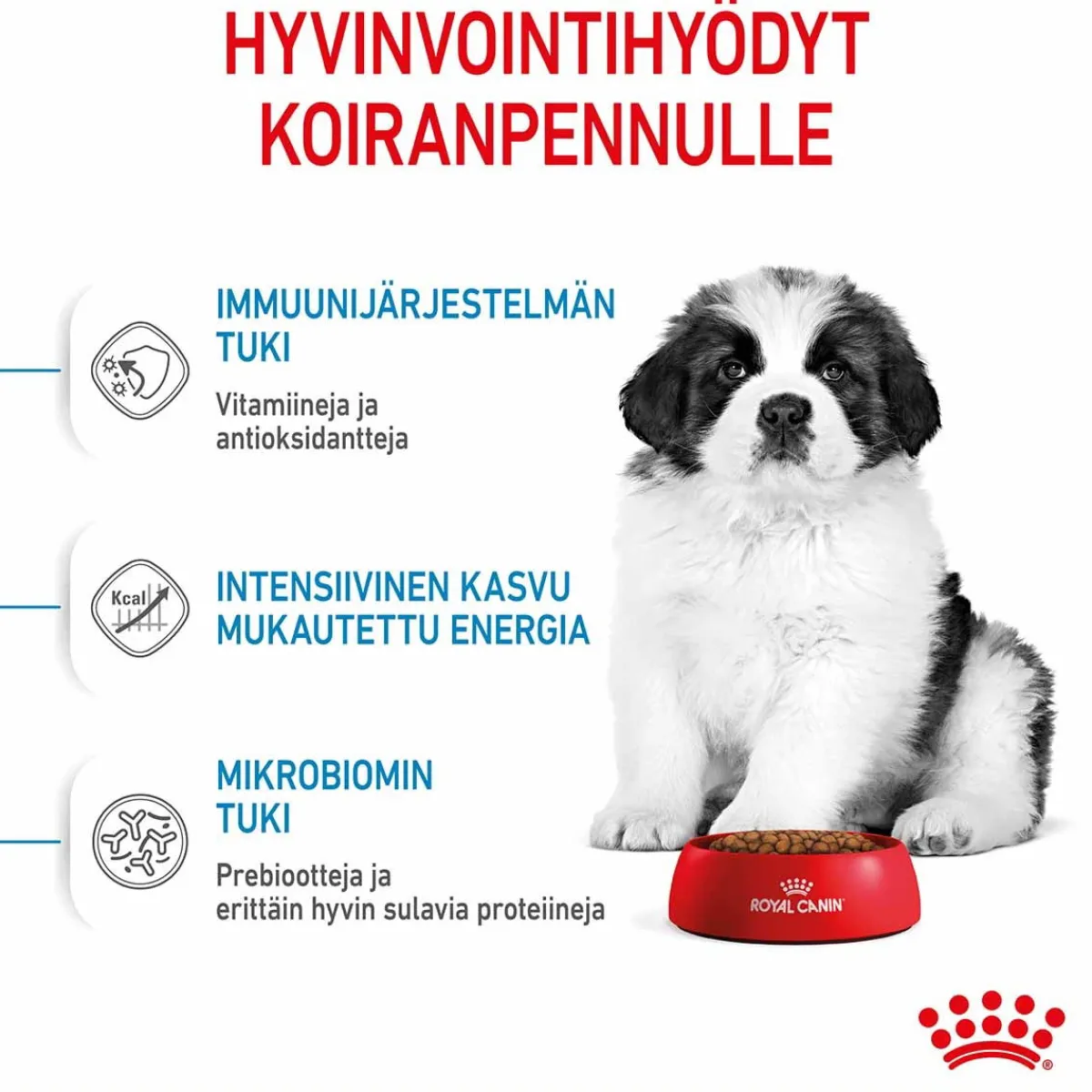 Royal Canin Penturuoka|Koiran Kuivaruoka*Giant Puppy