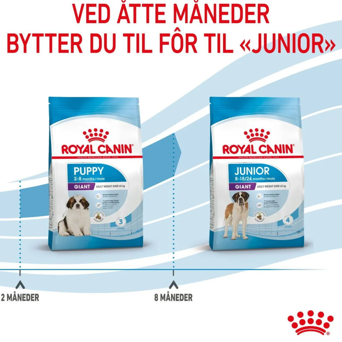 Royal Canin Koiran Kuivaruoka*Giant Puppy 2 x 15kg