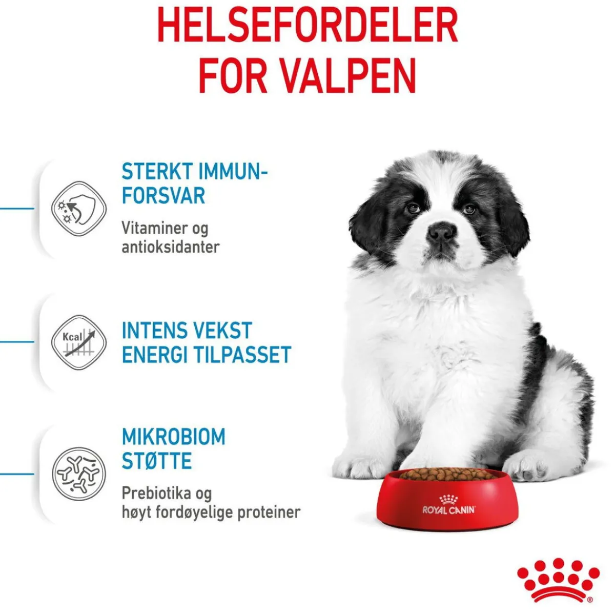 Royal Canin Koiran Kuivaruoka*Giant Puppy 2 x 15kg