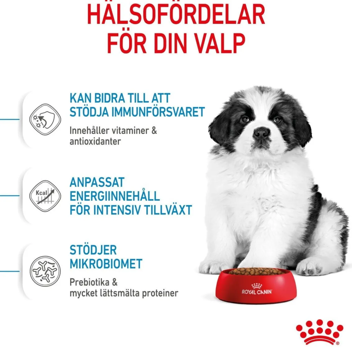 Royal Canin Koiran Kuivaruoka*Giant Puppy 2 x 15kg