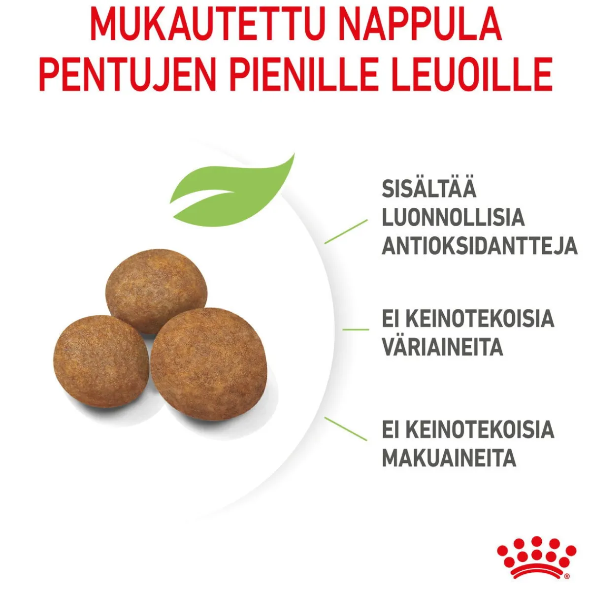 Royal Canin Koiran Kuivaruoka*Giant Puppy 2 x 15kg