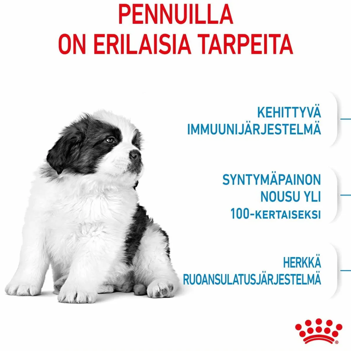 Royal Canin Koiran Kuivaruoka*Giant Puppy 2 x 15kg