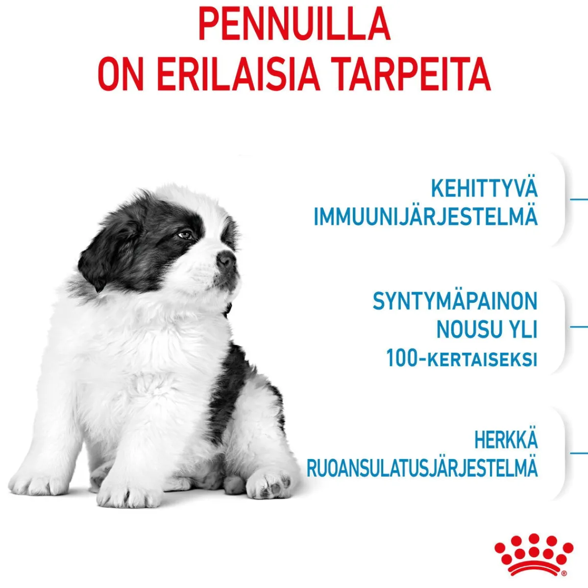 Royal Canin Koiran Kuivaruoka*Giant Puppy 2 x 15kg