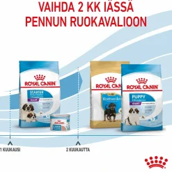 Royal Canin Koiran Kuivaruoka*Giant Starter, 15 kg