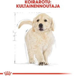 Royal Canin Penturuoka|Koiran Kuivaruoka*Golden Retriever Puppy 12 kg