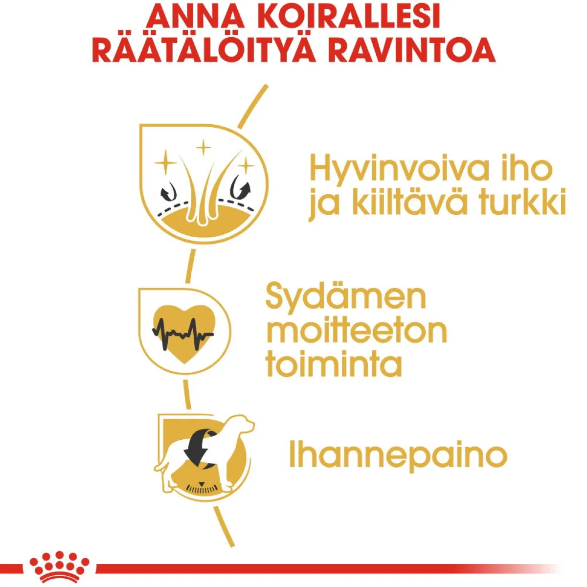 Royal Canin Koiran Kuivaruoka|Tarjoukset Koirille*Golden Retriever Adult 12 kg