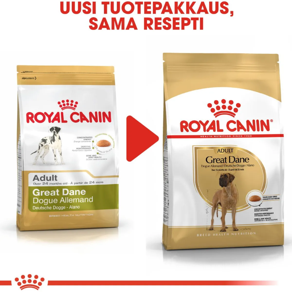Royal Canin Koiran Kuivaruoka|Tarjoukset Koirille*Great Dane Adult 12 kg