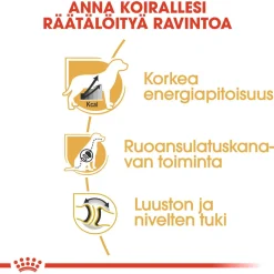 Royal Canin Koiran Kuivaruoka|Tarjoukset Koirille*Great Dane Adult 12 kg