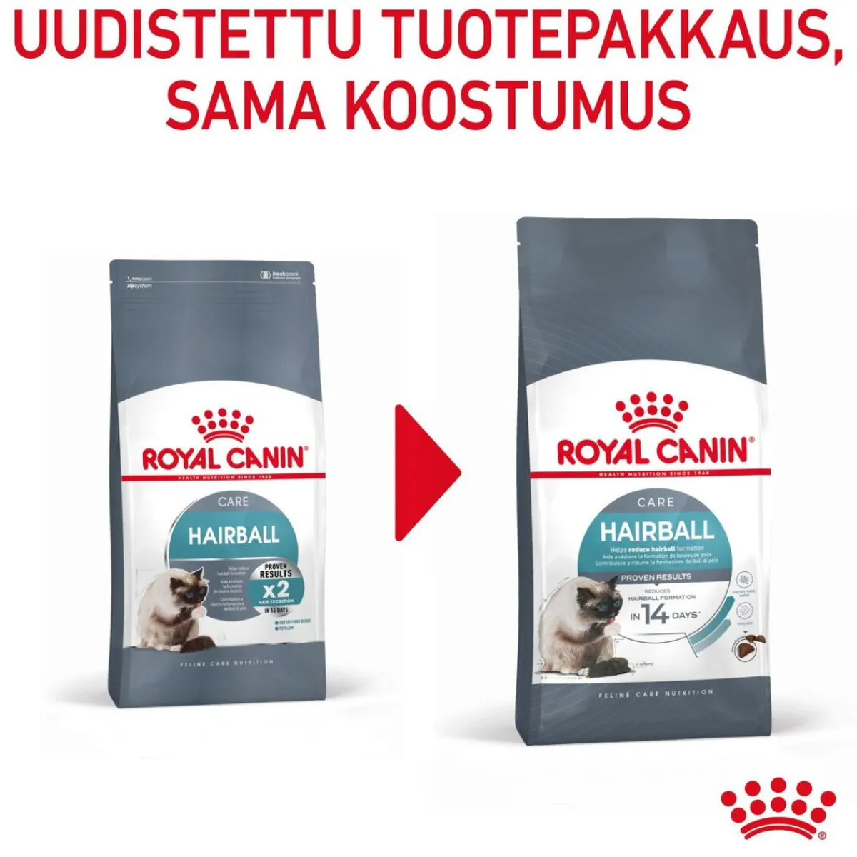 Royal Canin Kissan Kuivaruoka|Kissan Erikoisruoat*Hairball Care
