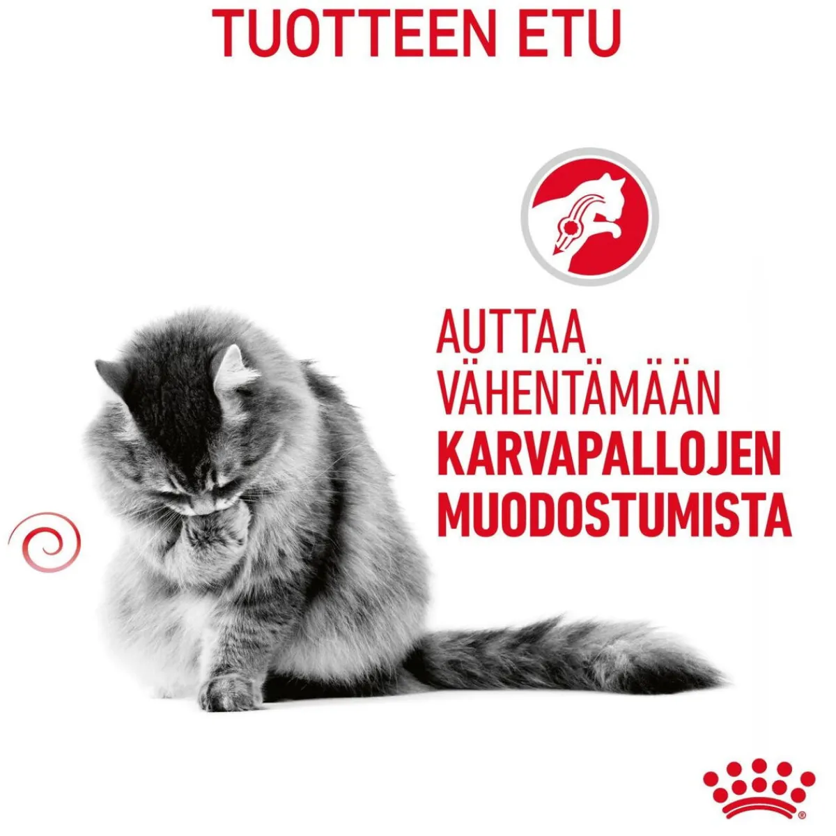 Royal Canin Kissan Kuivaruoka|Kissan Erikoisruoat*Hairball Care