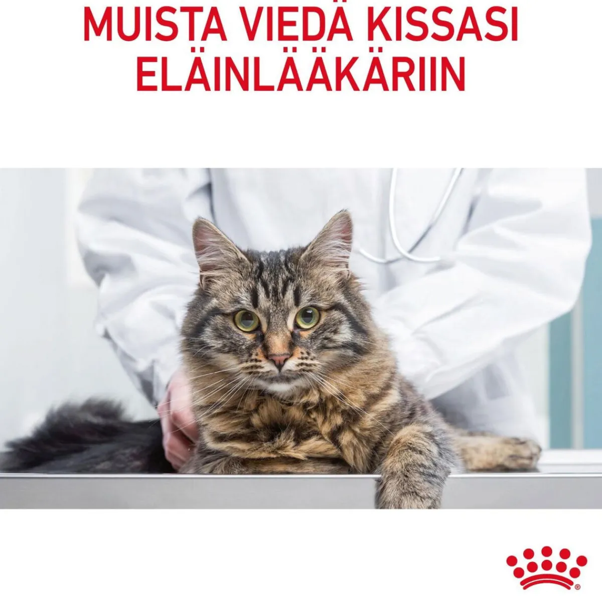 Royal Canin Kissan Kuivaruoka|Kissan Erikoisruoat*Hairball Care