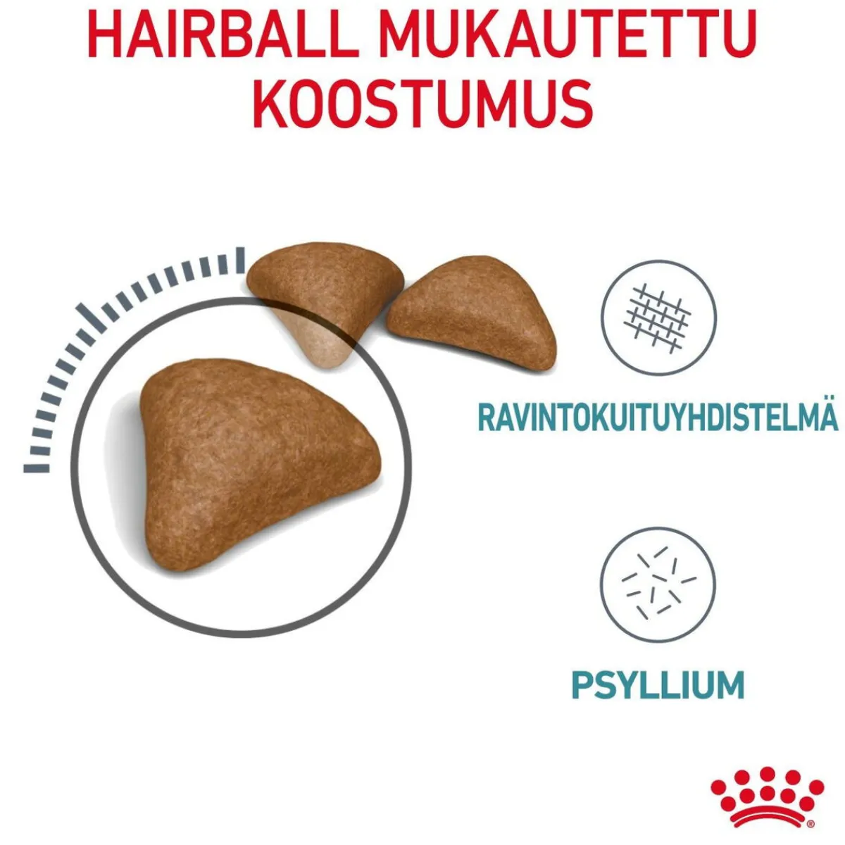 Royal Canin Kissan Kuivaruoka|Kissan Erikoisruoat*Hairball Care