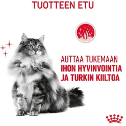 Royal Canin Kissan Kuivaruoka|Kissan Erikoisruoat*Hair & Skin Care