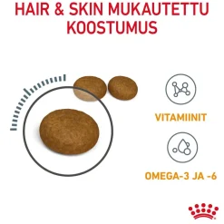 Royal Canin Kissan Kuivaruoka|Kissan Erikoisruoat*Hair & Skin Care