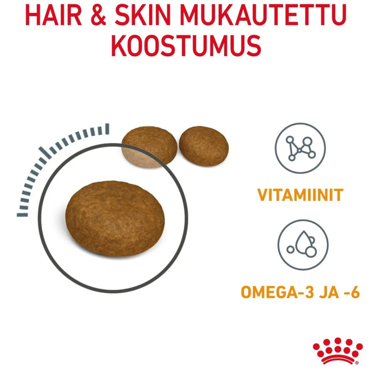Royal Canin Kissan Kuivaruoka|Kissan Erikoisruoat*Hair & Skin Care