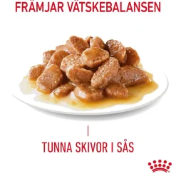 Royal Canin Kissan Märkäruoka*Hair & Skin Care Gravy 85g, 48-pack