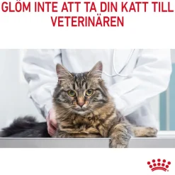 Royal Canin Kissan Märkäruoka*Hair & Skin Care Gravy 85g, 48-pack