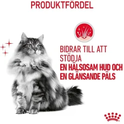 Royal Canin Kissan Märkäruoka*Hair & Skin Care Gravy 85g, 48-pack