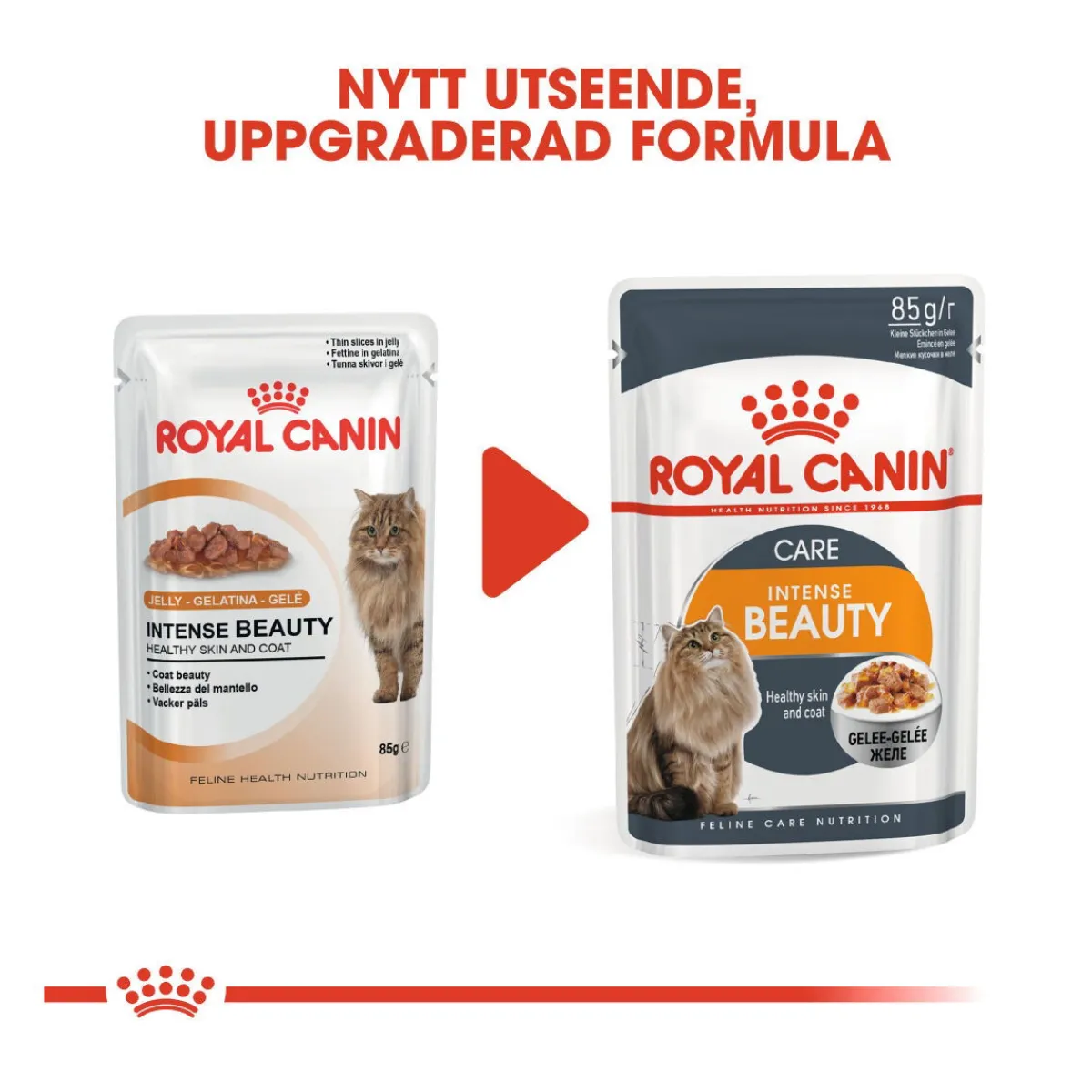 Royal Canin Kissan Märkäruoka*Hair & Skin Care Jelly 85g, 48-pack