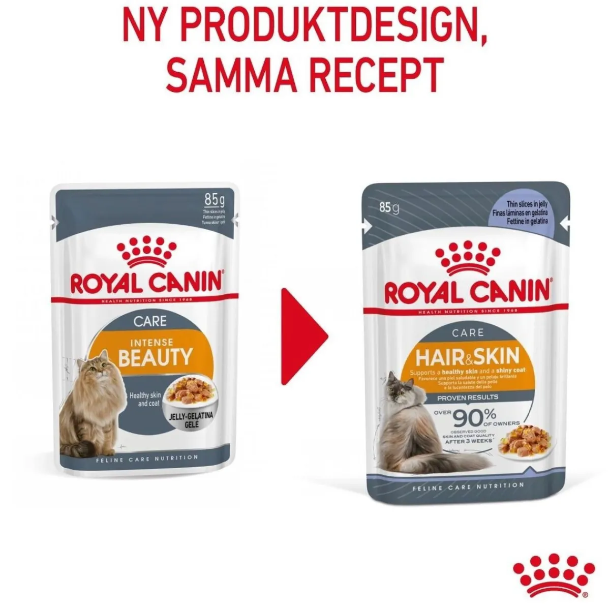 Royal Canin Kissan Märkäruoka*Hair & Skin Care Jelly 85g, 48-pack
