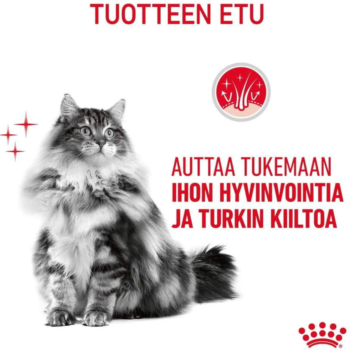 Royal Canin Kissan Märkäruoka*Hair & Skin Care Jelly 85g, 48-pack