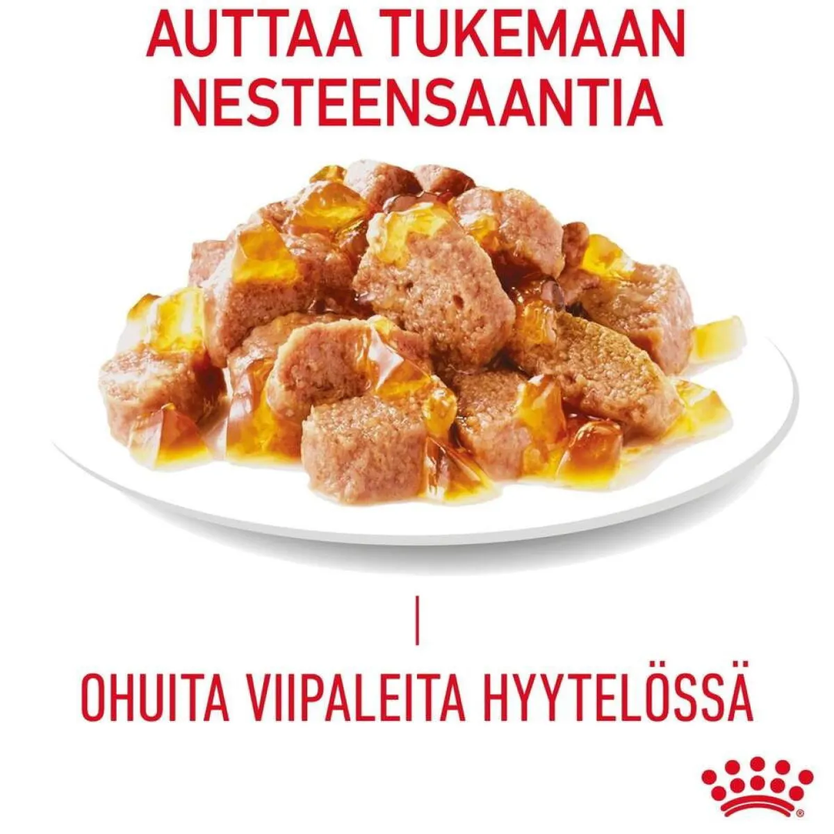 Royal Canin Kissan Märkäruoka*Hair & Skin Care Jelly 85g, 48-pack