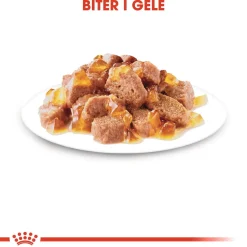 Royal Canin Kissan Märkäruoka*Hair & Skin Care Jelly 85g, 48-pack