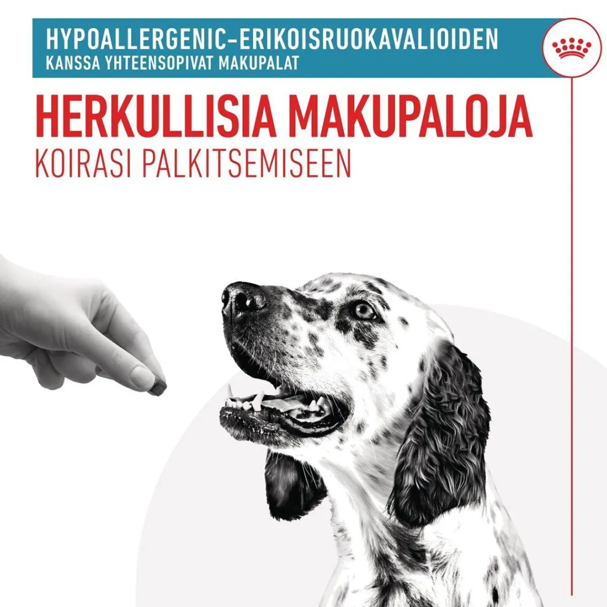 Royal Canin Veterinary Diets Eläinlääkäriherkut|Koiran Allergiat*Royal Canin Hypoallergenic Treats 230 g
