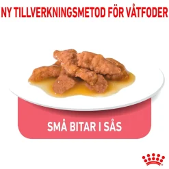 Royal Canin Kissan Märkäruoka*Indoor Gravy 85 g, 48-pack