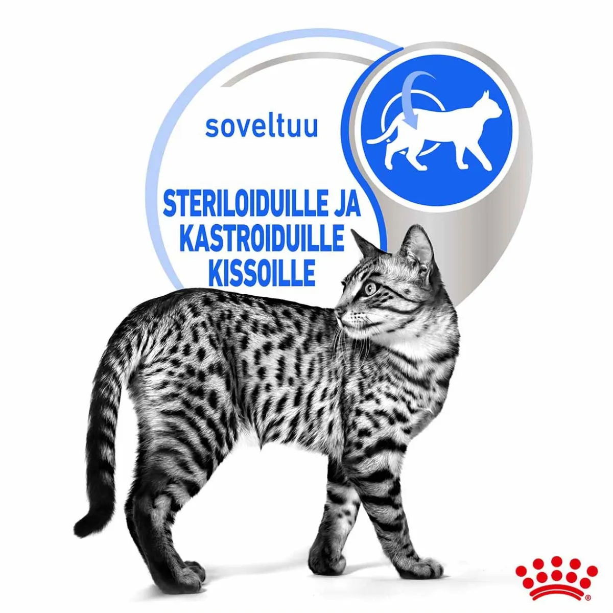 Royal Canin Kissan Märkäruoka*Indoor Gravy 85 g, 48-pack