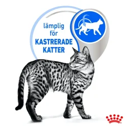 Royal Canin Kissan Märkäruoka*Indoor Jelly 85 g, 48-pack