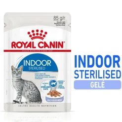 Royal Canin Kissan Märkäruoka*Indoor Jelly 85 g, 48-pack