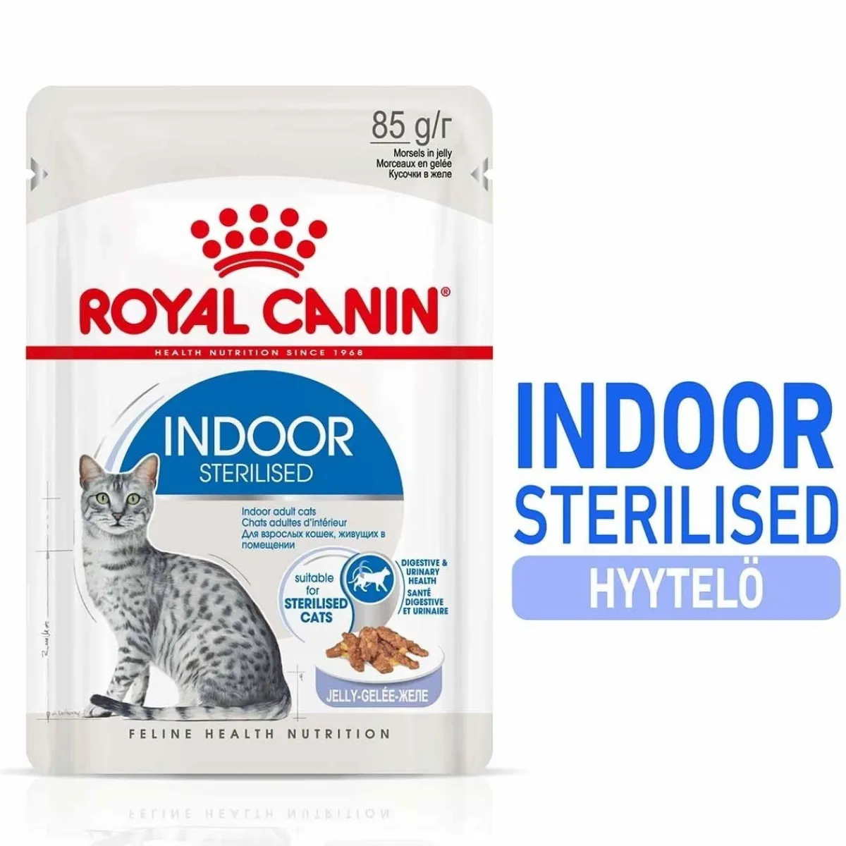 Royal Canin Kissan Märkäruoka|Kissan Erikoisruoat*Indoor Jelly 12 x 85 g