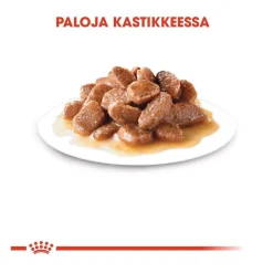 Royal Canin Seniorikissan Ruoka|Kissan Märkäruoka*Instinctive +7 Gravy 12x85g