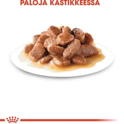 Royal Canin Kissan Märkäruoka*Instinctive Gravy 85g, 48-pack