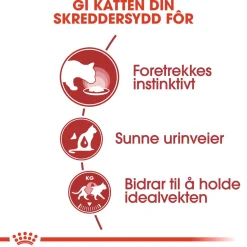 Royal Canin Kissan Märkäruoka*Instinctive Jelly 85g, 48-pack