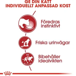 Royal Canin Kissan Märkäruoka*Instinctive Jelly 85g, 48-pack