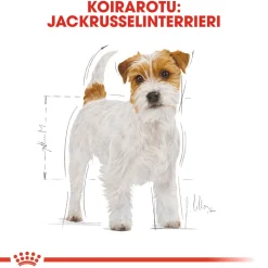 Royal Canin Koiran Kuivaruoka|Tarjoukset Koirille*Jack Russel Adult