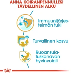 Royal Canin Penturuoka|Koiran Kuivaruoka*Jack Russel Puppy, 1,5 kg
