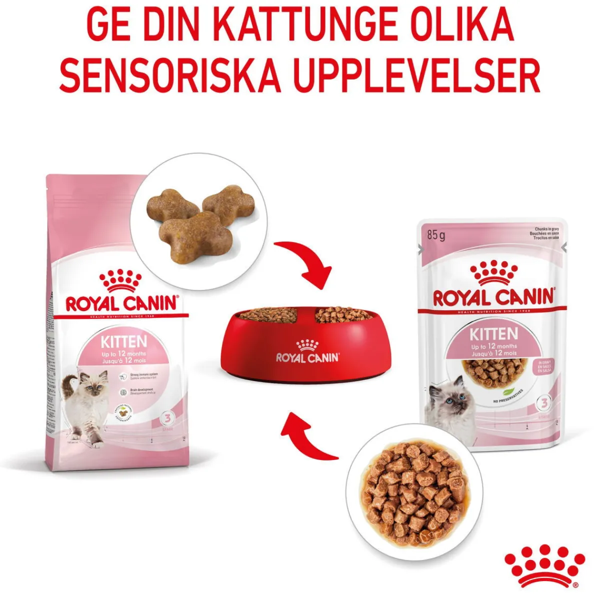 Royal Canin Kissan Märkäruoka*Kitten Gravy 85g, 48-pack