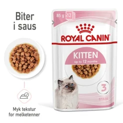 Royal Canin Kissan Märkäruoka*Kitten Gravy 85g, 48-pack