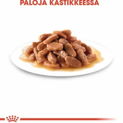Royal Canin Kissan Märkäruoka*Kitten Gravy 85g, 48-pack