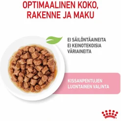 Royal Canin Kissan Märkäruoka*Kitten Gravy 85g, 48-pack